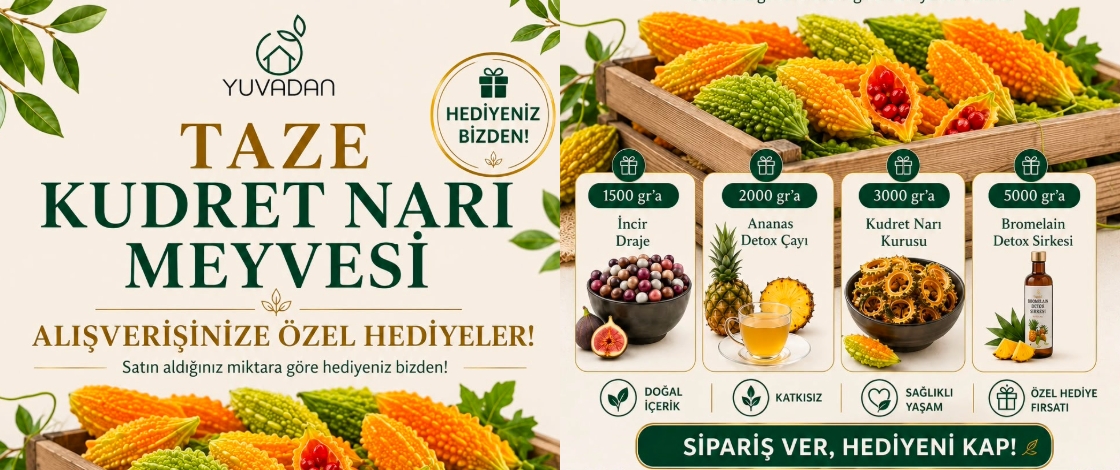 Taze Kudret Narı Meyveleri Şimdi Hediyeli!
