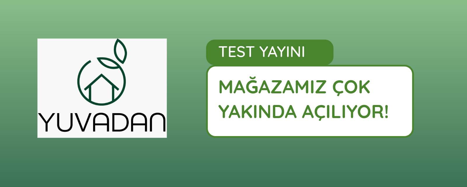 Test Yayını