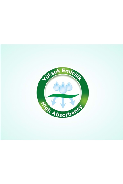 Hasta Bezi Yetişkin Emici Külot L - Büyük - Large 120 Adet (4PK*30)