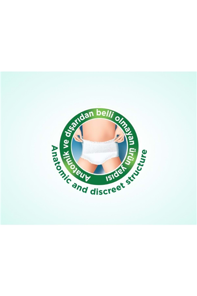 Hasta Bezi Yetişkin Emici Külot L - Büyük - Large 120 Adet (4PK*30)