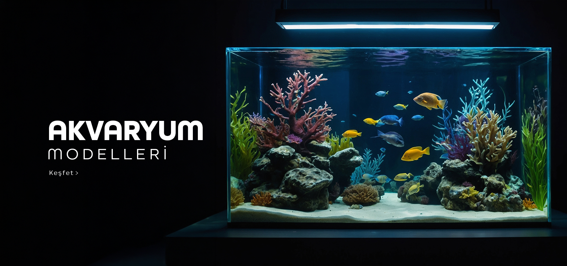 Akvaryum