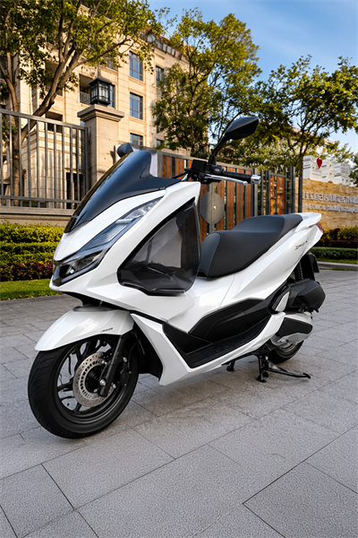 Honda Pcx Uyumlu Aerodinamik Bacak Siperliği 2021-2024 Füme