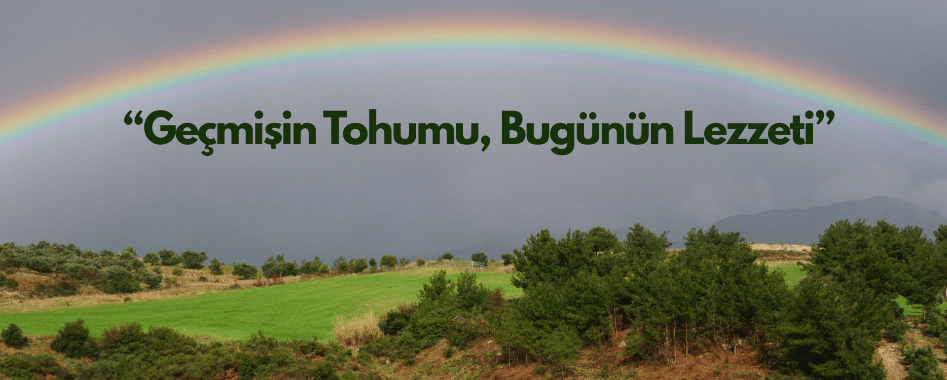 Slider Banner 2