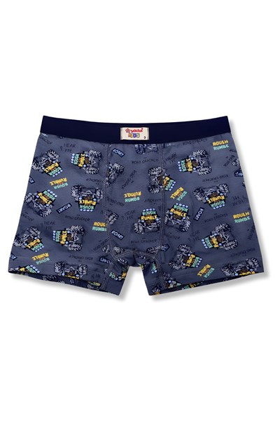 Erkek Çocuk Likralı Havlu Bel Boxer Desenli 3lü Paket