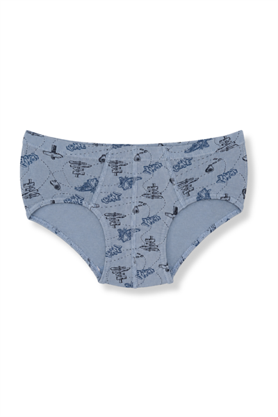 Erkek Çocuk Likralı Slip Hayvan Desenli 3lü Paket