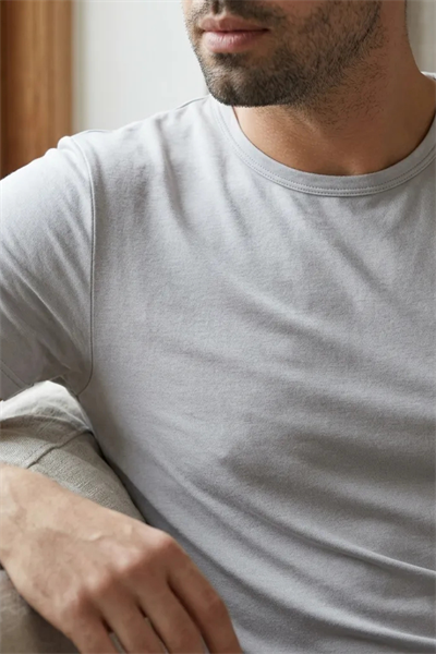 Modal Bisiklet Yaka Erkek T-Shirt Gri