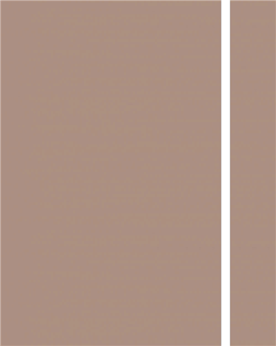 Kastamonu Entegre P103 Vizon Evogloss PVC Kenar Bandı 22x0.80 mm