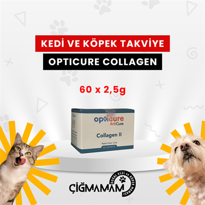 collagen-60x25-gr-kolajen-destekleyici-4fb-49.png