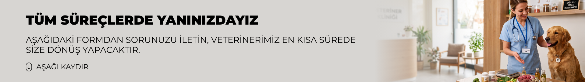 AŞAĞIDAKİ FORMDAN SORUNUZU İLETİN, VETERİNERİMİZ EN KISA SÜREDE SİZE DÖNÜŞ YAPACAKTIR.