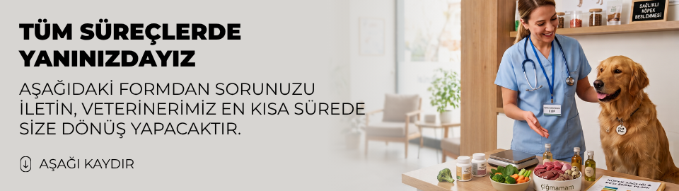 AŞAĞIDAKİ FORMDAN SORUNUZU İLETİN, VETERİNERİMİZ EN KISA SÜREDE SİZE DÖNÜŞ YAPACAKTIR.