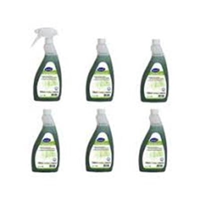 Room Care R2 Hijyenik Genel Amaçlı Sert Yüzey Temizleme Maddesi 6x750 Ml