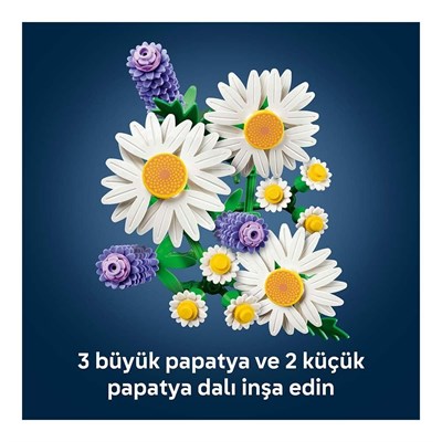 ADOL-LAD11508 PAPATYA 4