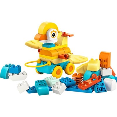 ADOL-LED10448 HAYVANLAR 3