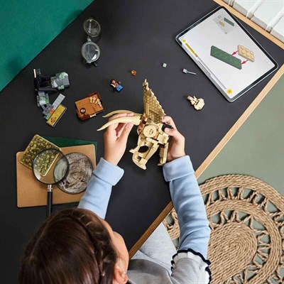 ADOL-LJW76969 FOSIL TRICERATOPS KAFATASI 4