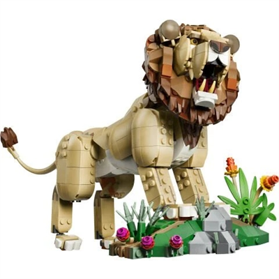 ADOL-LMC31386 GORKEMLI ASLAN 4