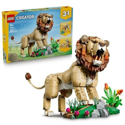 ADOL-LMC31386 GORKEMLI ASLAN 4