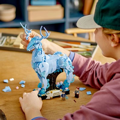 ADOL-LSH76414 EXPECTO PATRONUM 3