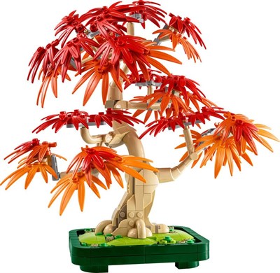ADOL-LZC10348 JAPON KIRMIZI BONZAI 3