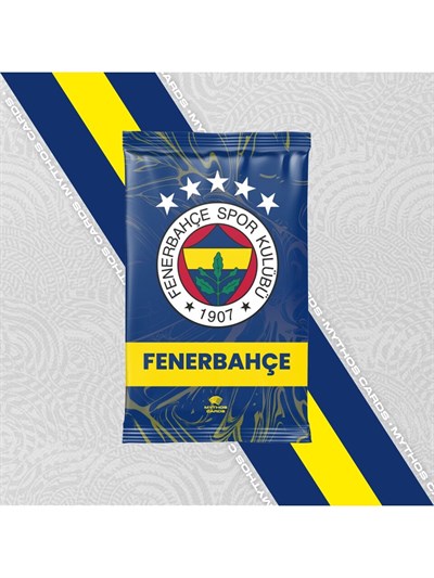 ASEP-88289 FENERBAHCE PRE-SEASON 2025-2026