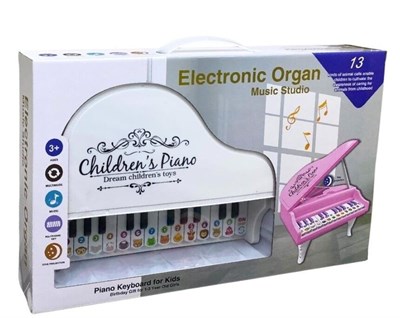 CAN-918-1 KUTULU PIANO 24