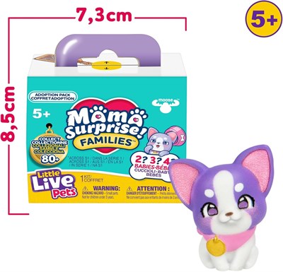 GPH-LP305000-26658 LLP MSF SURPRIZ PATILER 18