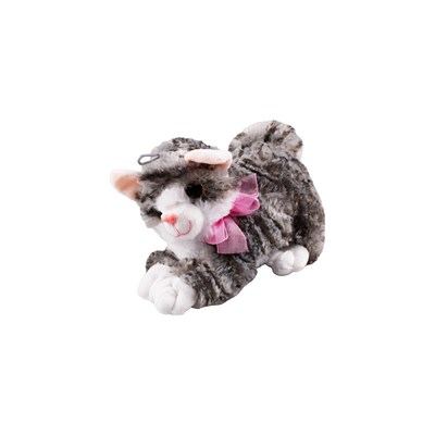 HAL-PL62367 25 CM MIYAVLIYAN  KEDI 70