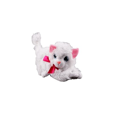 HAL-PL62696 25 CM MIYAVLIYAN  KEDI 70