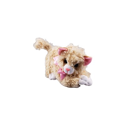 HAL-PL62696 25 CM MIYAVLIYAN  KEDI 70