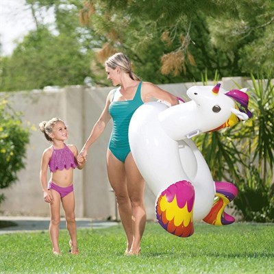 KZLD-BW41114 BINICI PEGASUS TUT 155X119CM KUT 8