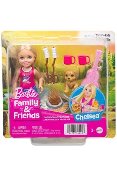 MATE-JJV61 BARBIE ADVENTURE CHELSEA 12