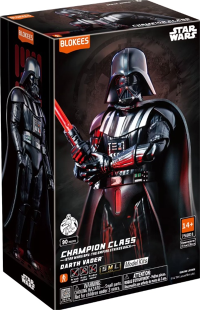 MEGA-75801 STARWARS EVERGREENI DARTH VADER 6