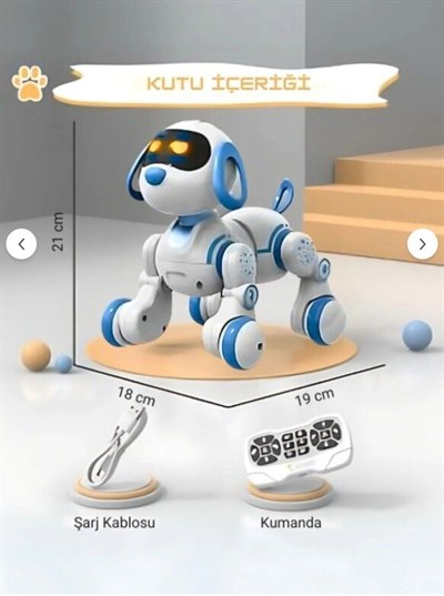SEH-SH40193 ROBOT KOPEK KUMANDALI 12