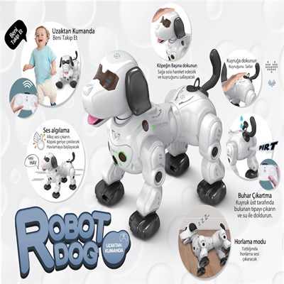 VAR-GL-777-602A UK ISIKLI VE SESLI AKILLI ROBOT 8
