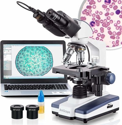 AmScope 40X-2500X LED Dijital Binoküler Bileşik Mikroskop 5MP Kamera