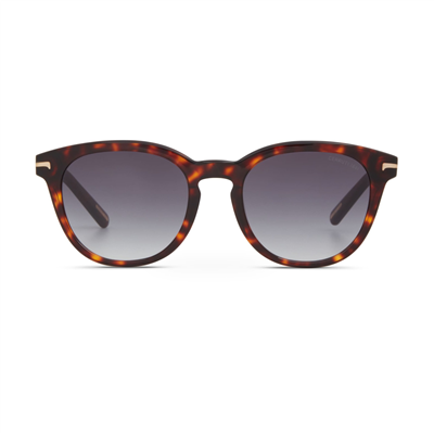 Cerruti 1881 CR 80029 C2 Erkek Güneş Gözlüğü