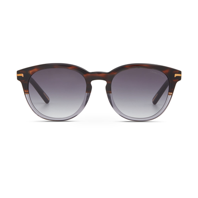 Cerruti 1881 CR 80029 C4 Erkek Güneş Gözlüğü