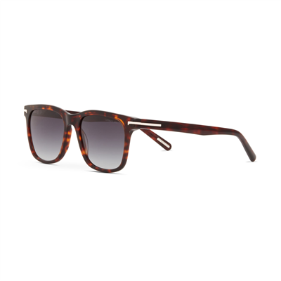 Cerruti 1881 CR 80043 C2 Erkek Güneş Gözlüğü