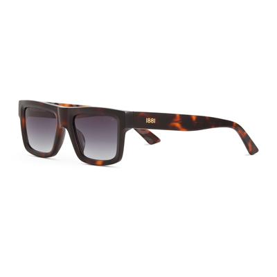 Cerruti 1881 CR 80062 C2 Erkek Güneş Gözlüğü