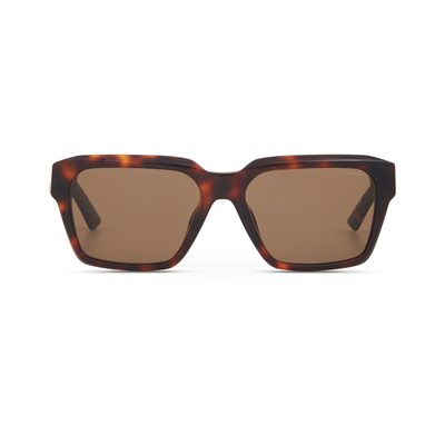 Cerruti 1881 CR 80063 C2 Erkek Güneş Gözlüğü