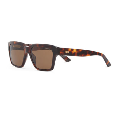 Cerruti 1881 CR 80063 C2 Erkek Güneş Gözlüğü