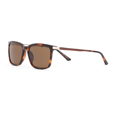 Cerruti 1881 CR 80075 C2 Erkek Güneş Gözlüğü