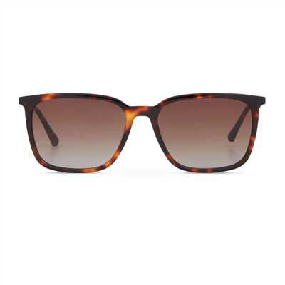 Cerruti 1881 CR 80098 C2 Erkek Güneş Gözlüğü