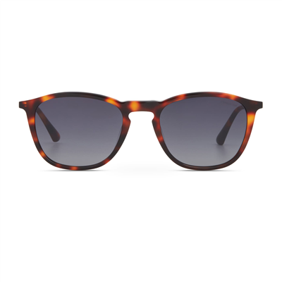 Cerruti 1881 CR 80100 C2 Erkek Güneş Gözlüğü