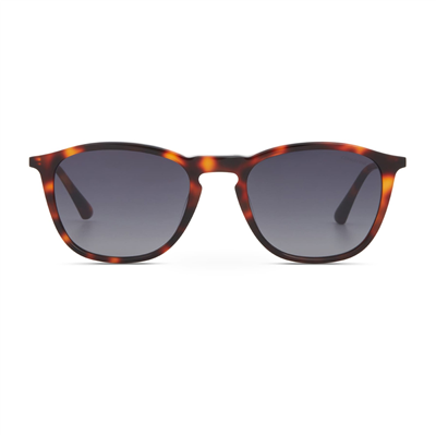 Cerruti 1881 CR 80100 C2 Erkek Güneş Gözlüğü