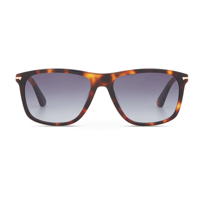 Cerruti 1881 CR 80115 C2 Erkek Güneş Gözlüğü