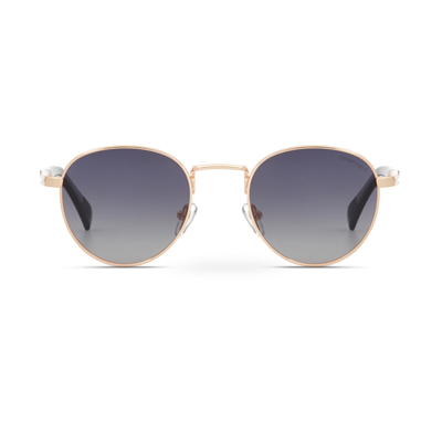 Despada DS 2364 C 1 Unisex Güneş Gözlüğü