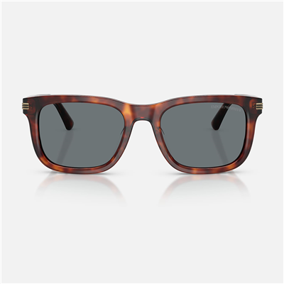 Emporio Armani EA 4282U 603480 54 - Havana Erkek Güneş Gözlüğü