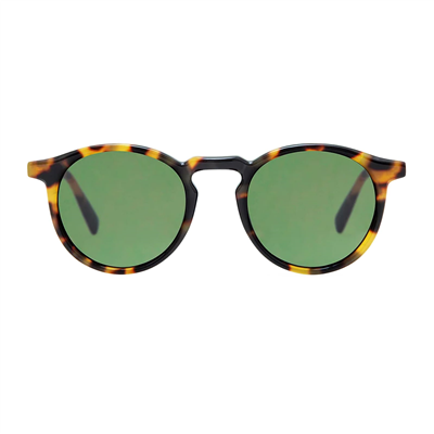 Gigi Studios Roy GS2005 20 Unisex Güneş Gözlüğü