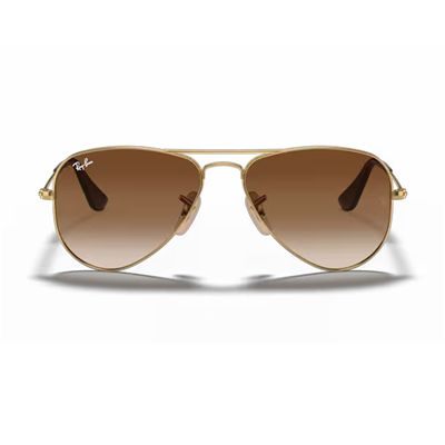 Ray-Ban Junior Aviator RJ 9506S 22313 50 - Arista Çocuk Güneş Gözlüğü
