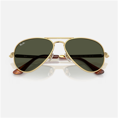 Ray-Ban RB 3925 001-3162 Unisex Güneş Gözlüğü